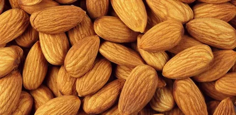 تصویر 1 از قیمت خرید بادام درختی شاهرودی + فروش ویژه